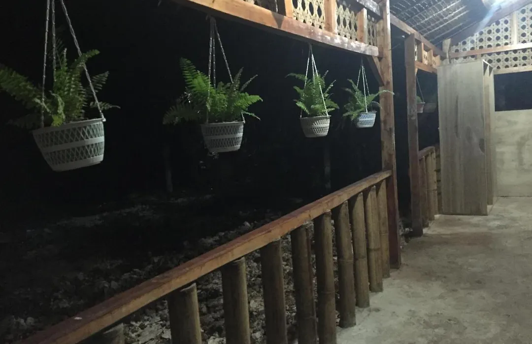 Bohemian Bohol Hostel-1