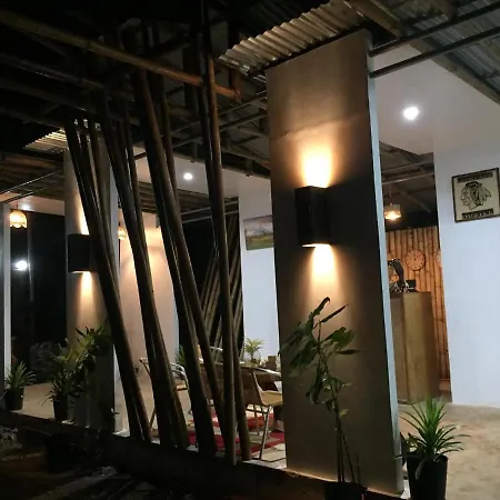 Bohemian Bohol Hostel-2